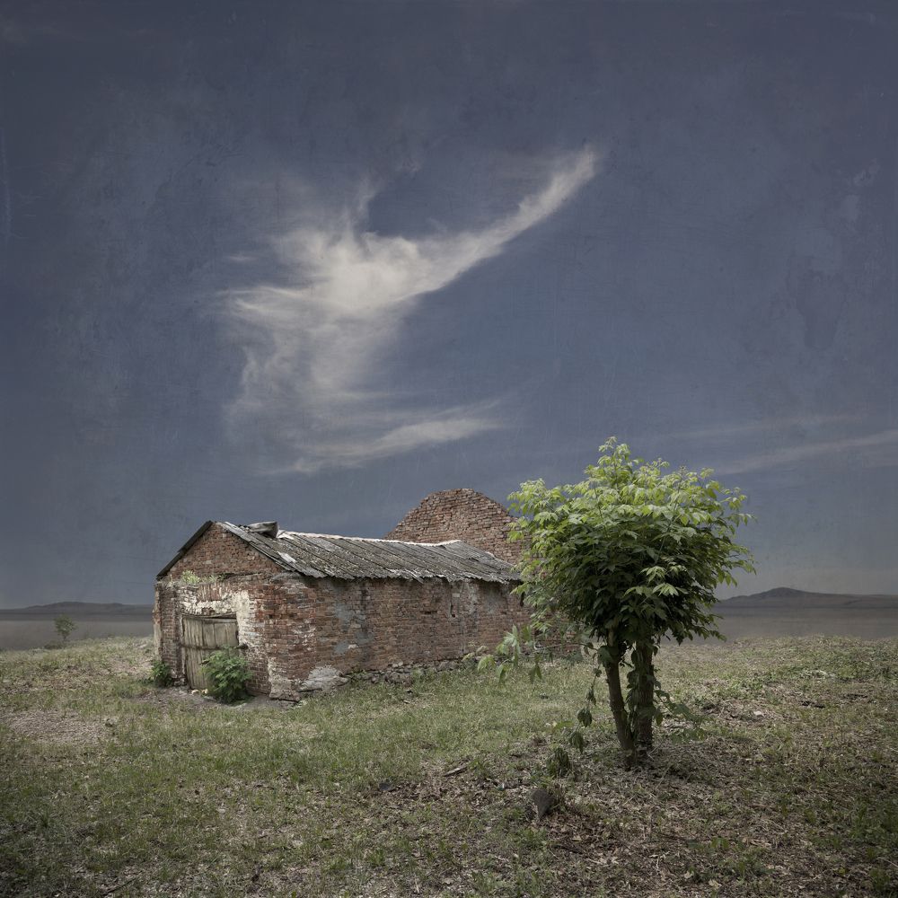 Фотография автора Виктор Кириллов