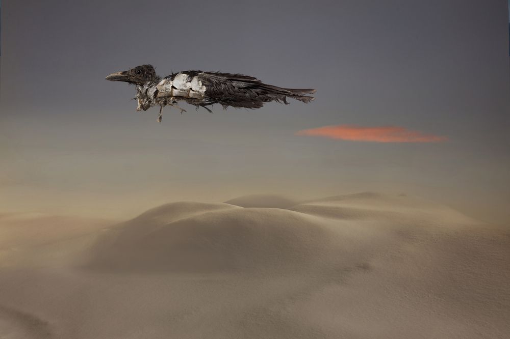 Фотография автора Виктор Кириллов