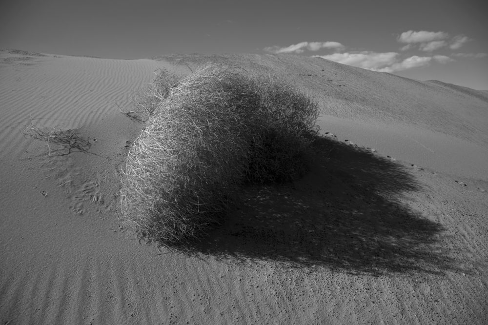 Фотография автора Виктор Кириллов