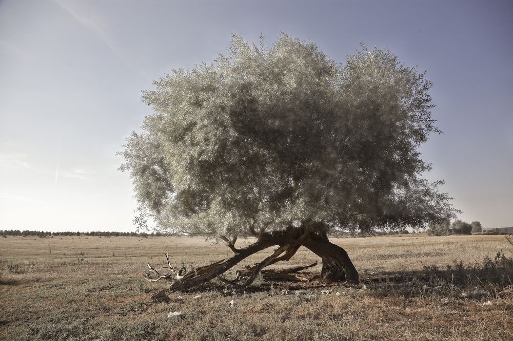 Фотография автора Виктор Кириллов