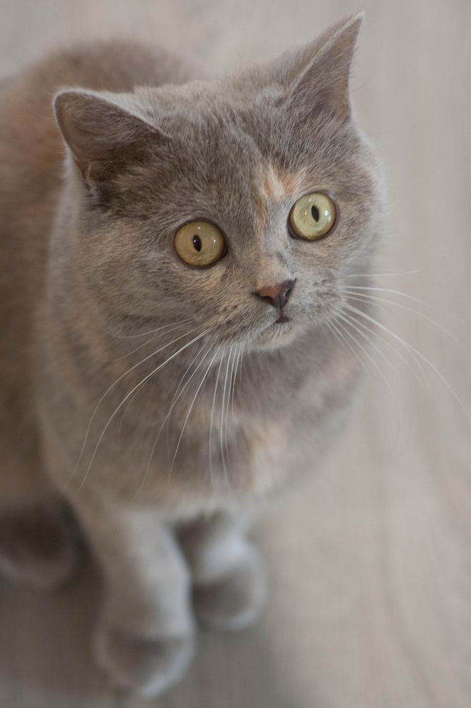 Photograph by Анна Николаевна