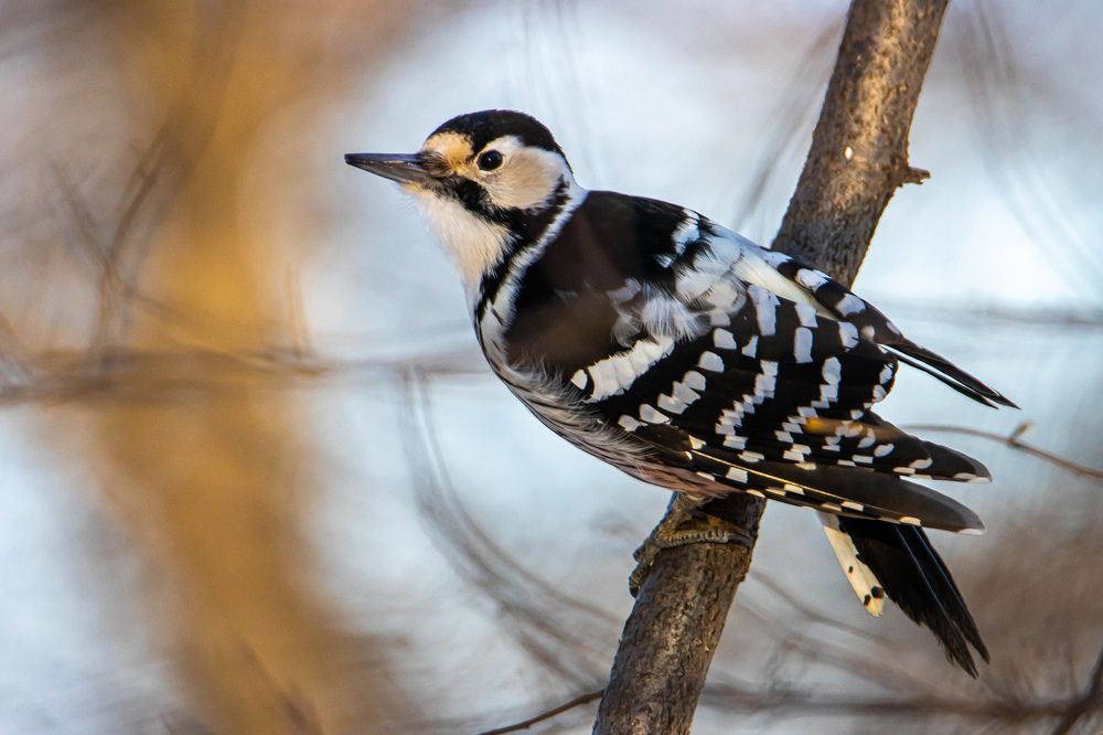 Photograph by Виктор Волынский