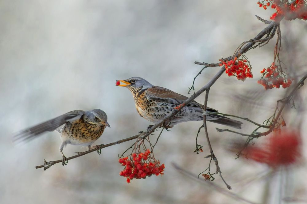 Photograph by Александр Канцур