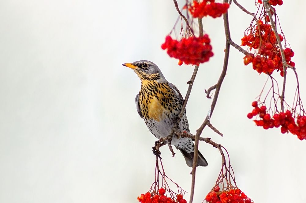 Photograph by Александр Канцур