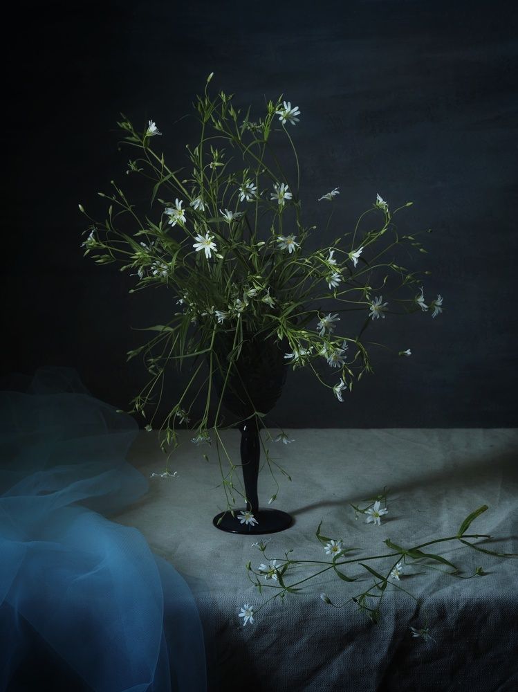 Photograph by Екатерина