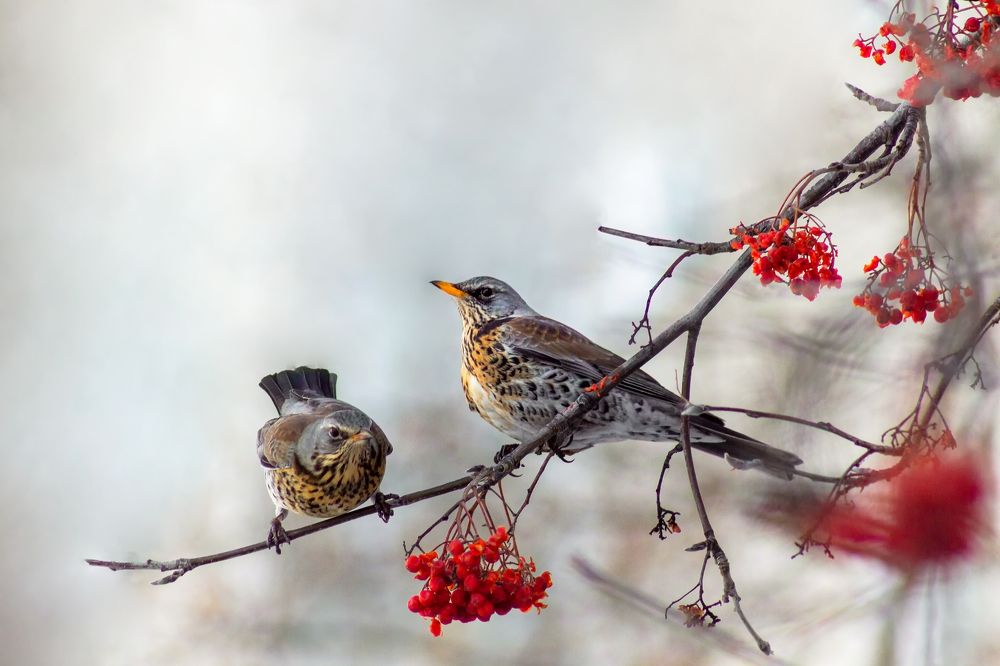 Photograph by Александр Канцур