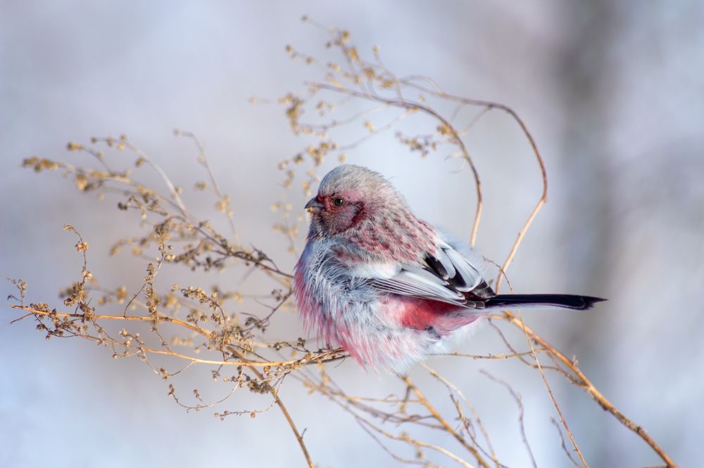 Photograph by Александр Канцур