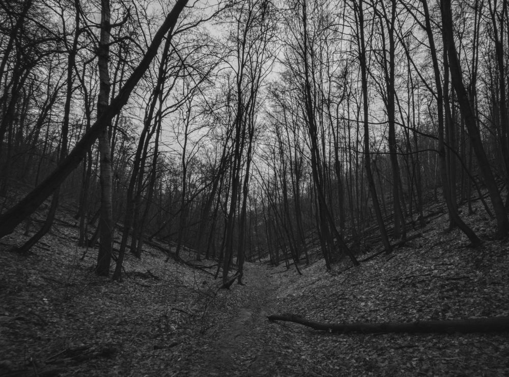 Photograph by Кристина Говоркова