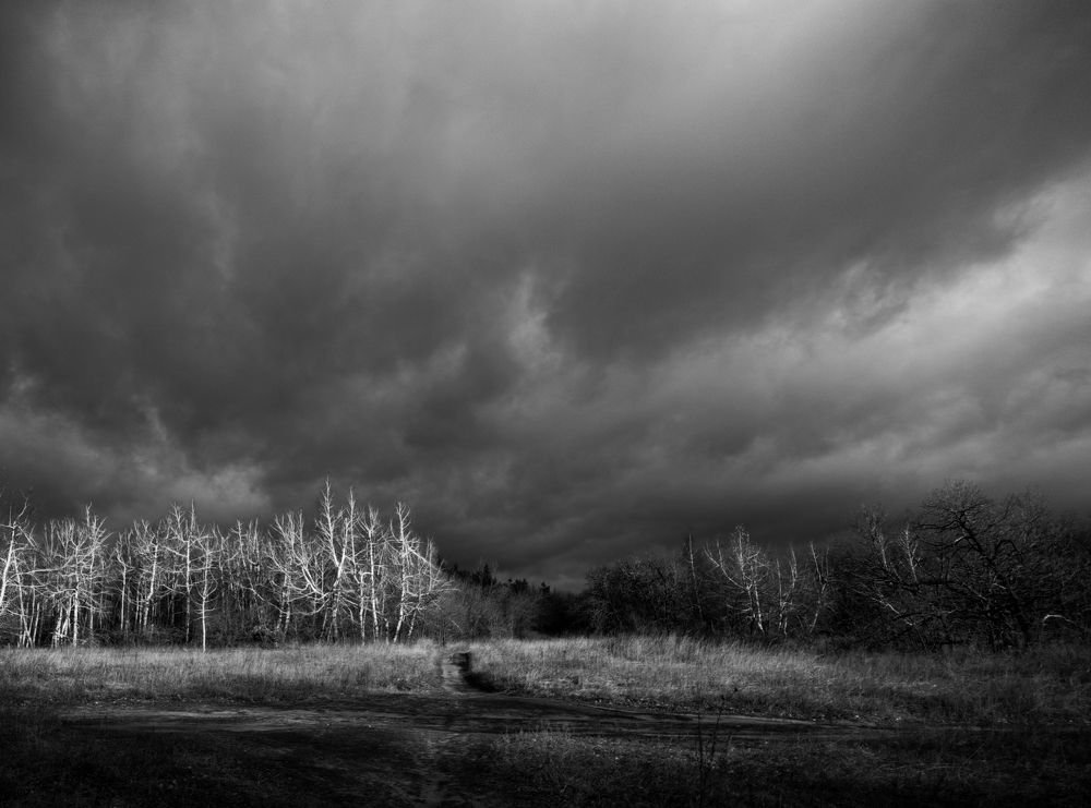 Photo #8857312