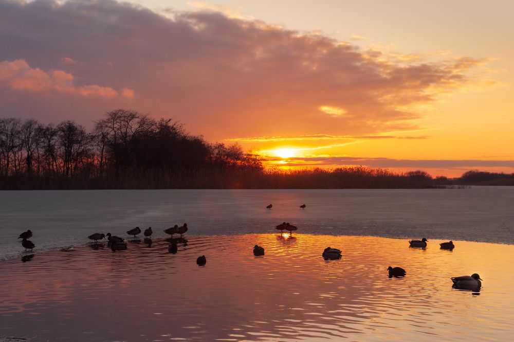 Photograph by Редько Александр