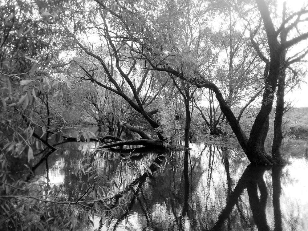 Photograph by Вадим Беляев