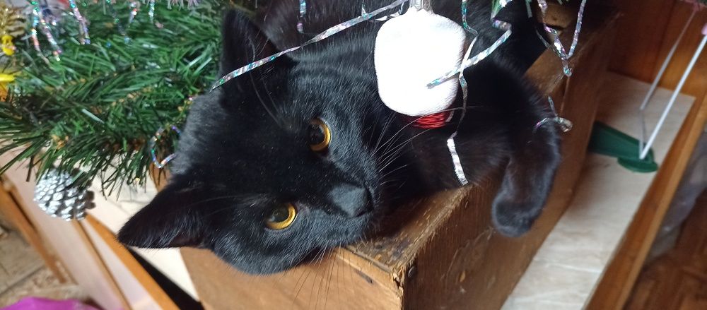 Photograph by Константин