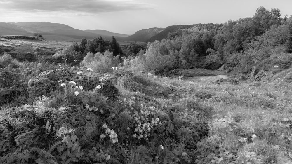 Фотография автора Вадим Коваленко