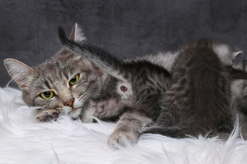 Photograph by Усачева Ольга