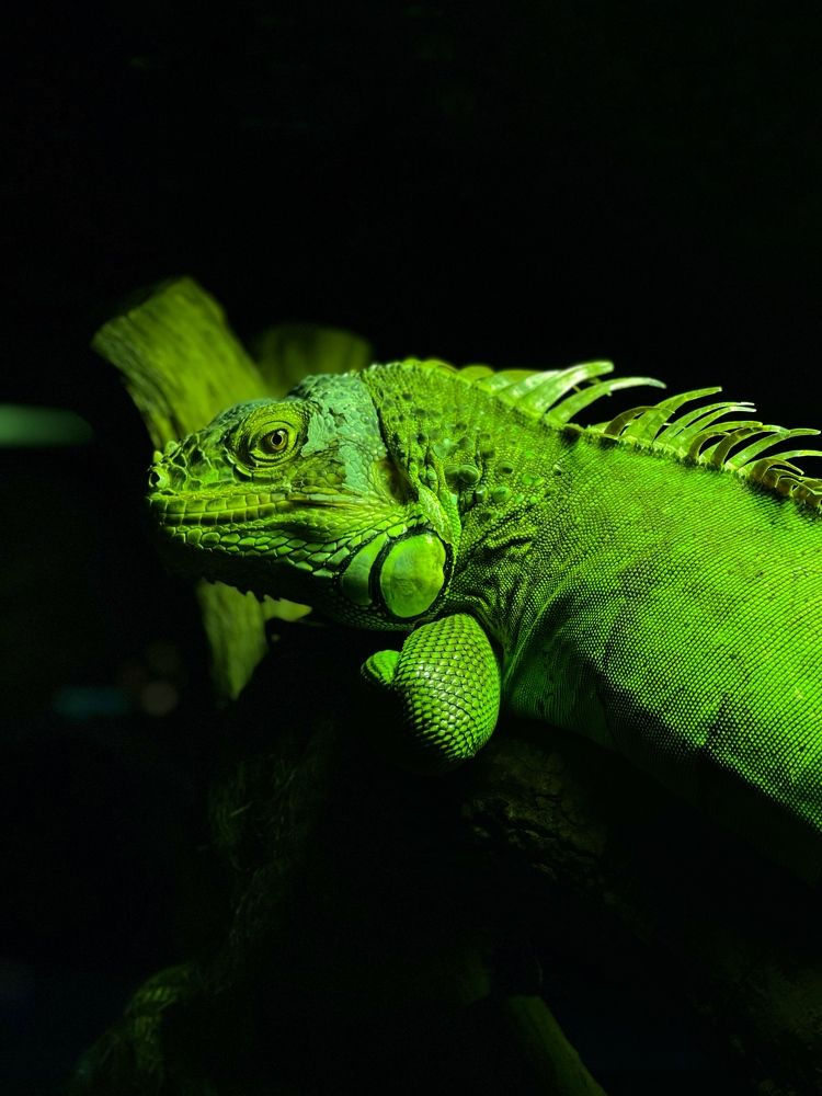 Photograph by Catherina Novikova