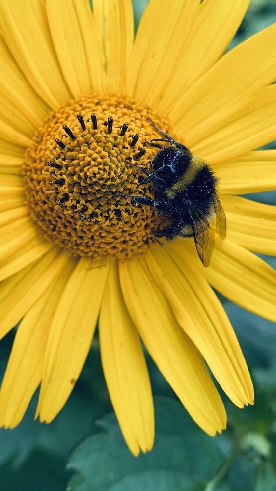 Photograph by Светлана Правдухина