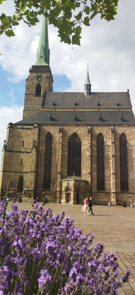 Собор г. Плзень