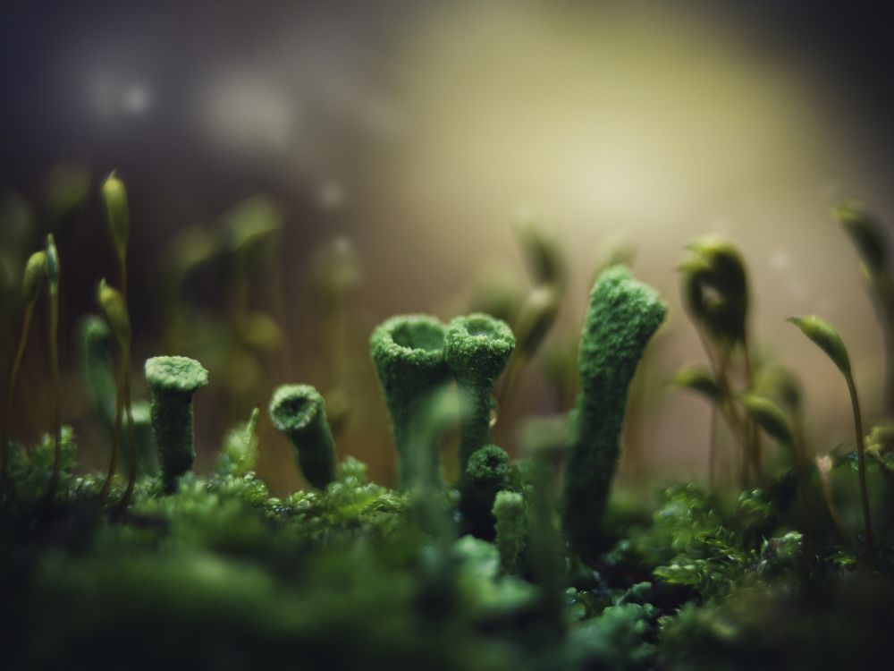 Photograph by Юрий Говорков