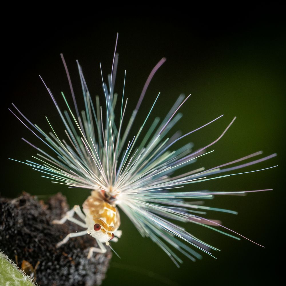 Photograph by Wan Ting Lim