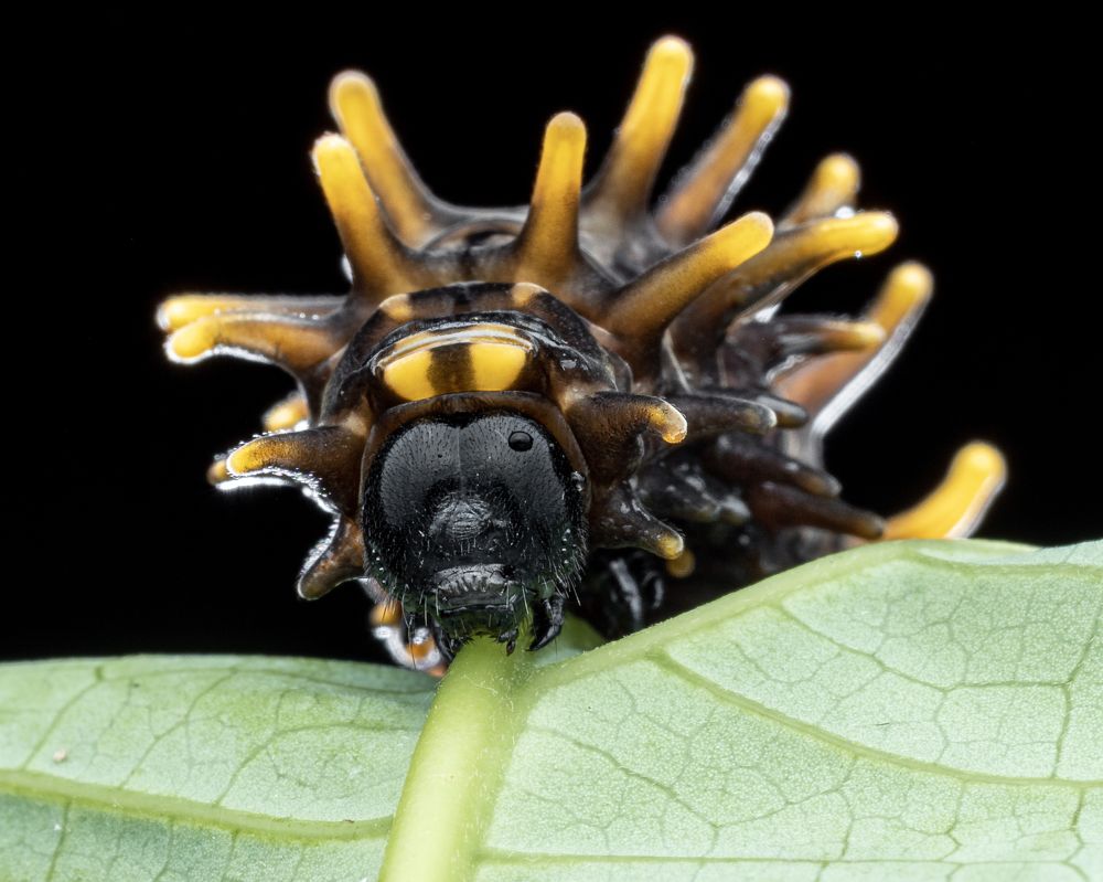 Photograph by Wan Ting Lim