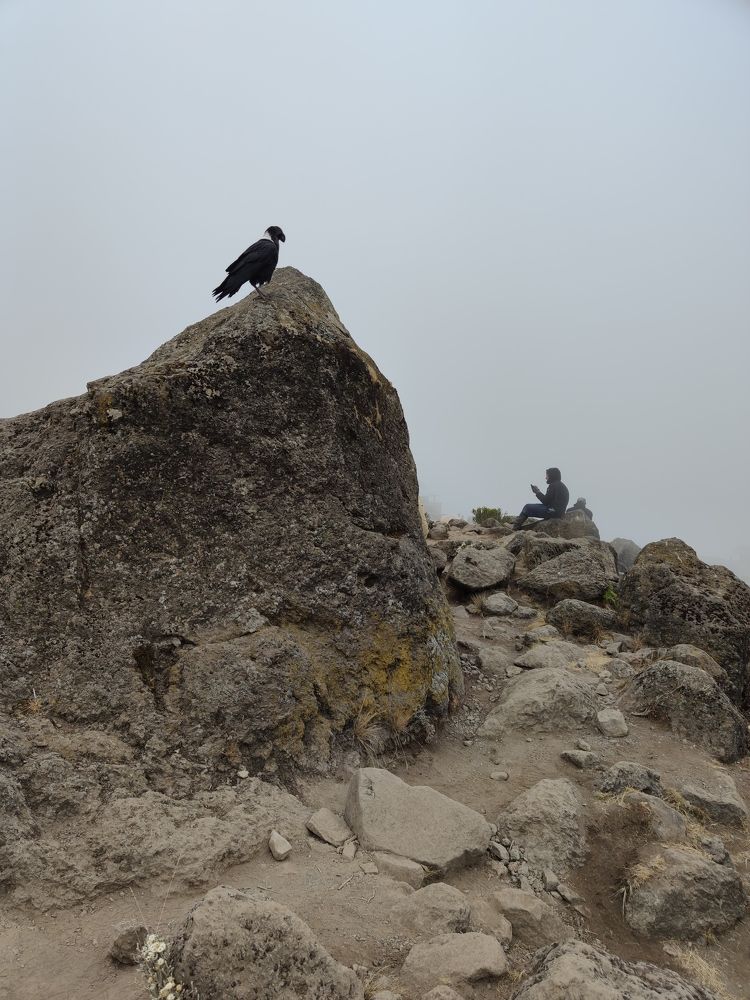 Photograph by Виолетта Шанина