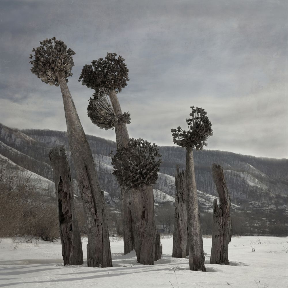 Фотография автора Виктор Кириллов