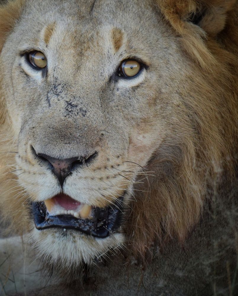 Photograph by Michelle Storm