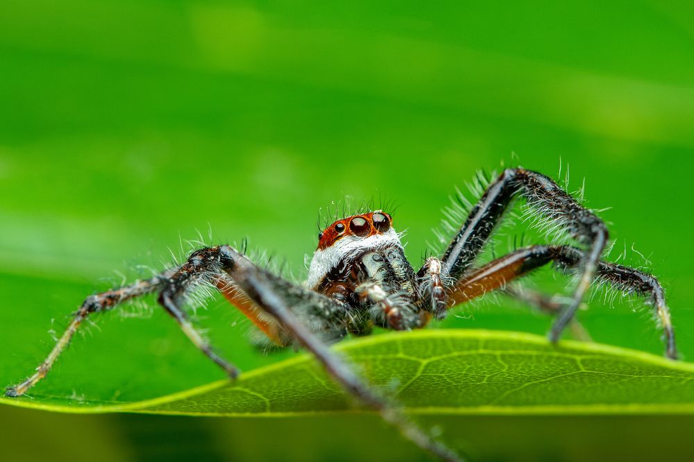 Фотография автора Navamani James