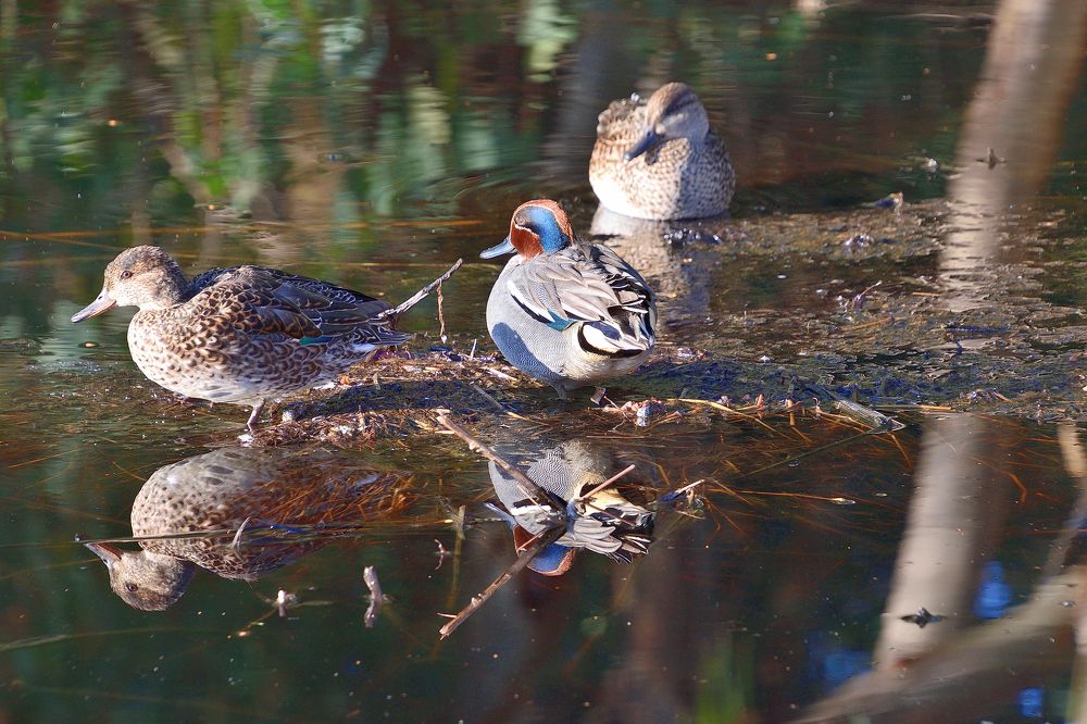 Photograph by NAFTALI KHALMAN