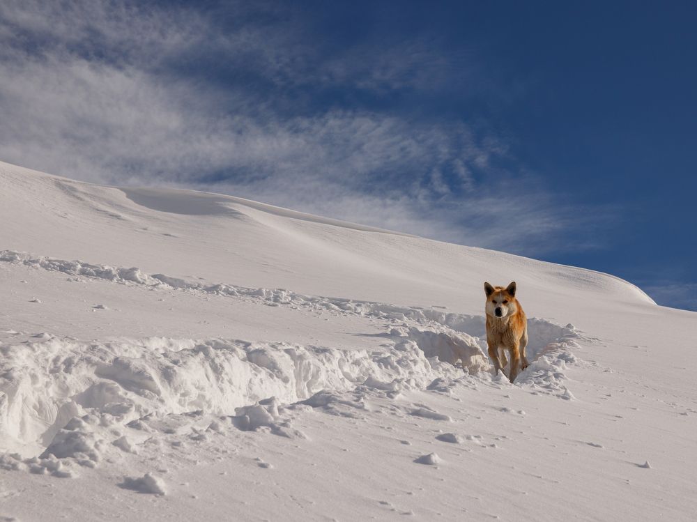 Photograph by Evgeniy Savikov