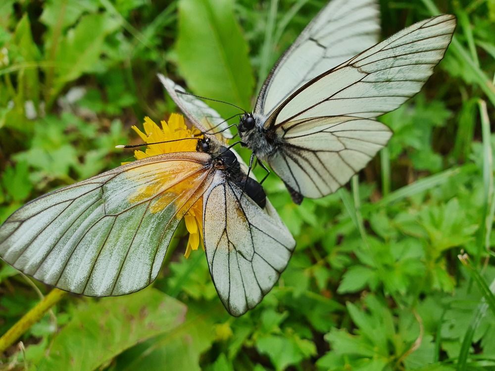 Photograph by Жанна