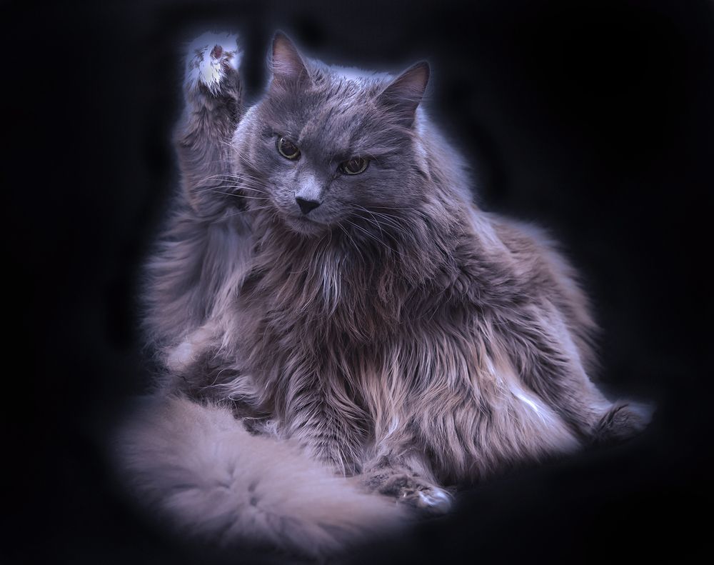 Photograph by Дроздова Наталья