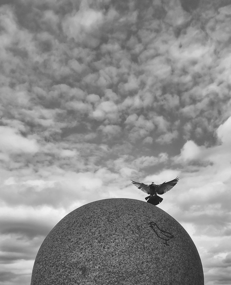 Photograph by Андрей Грешнов