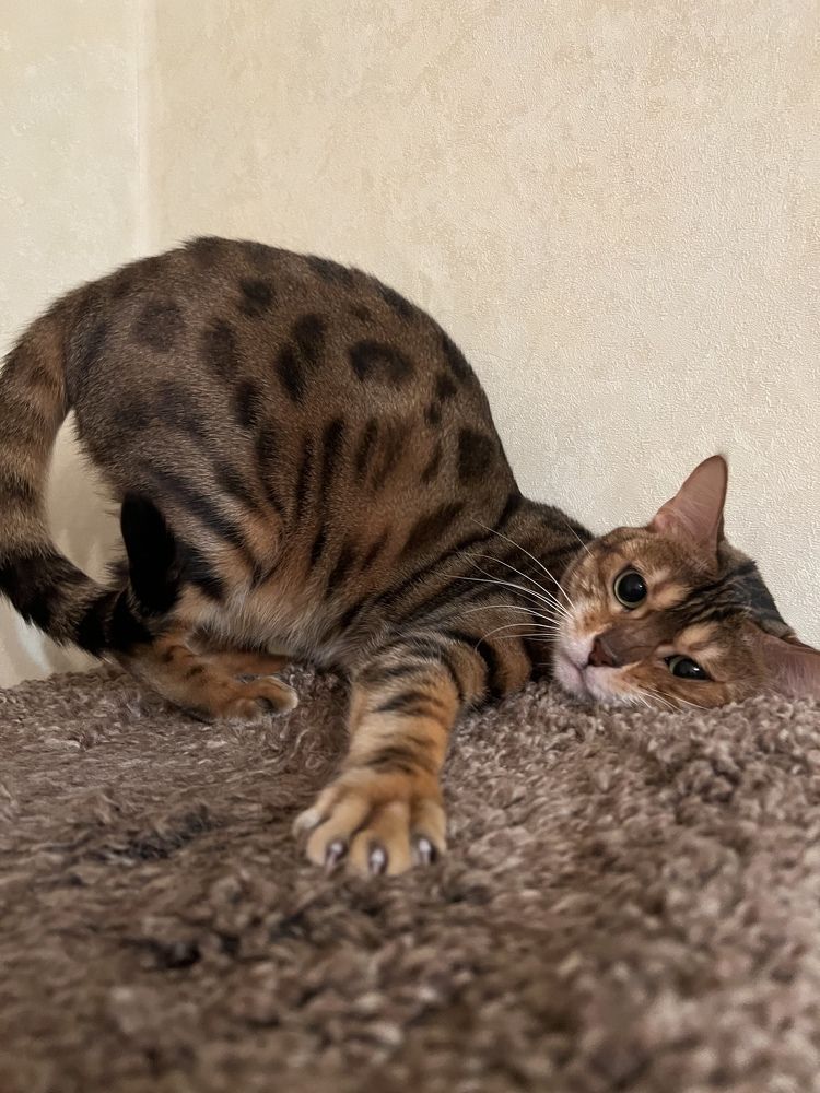 Photograph by Ольга Лазебникова