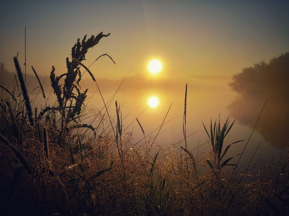 Утренний туман...