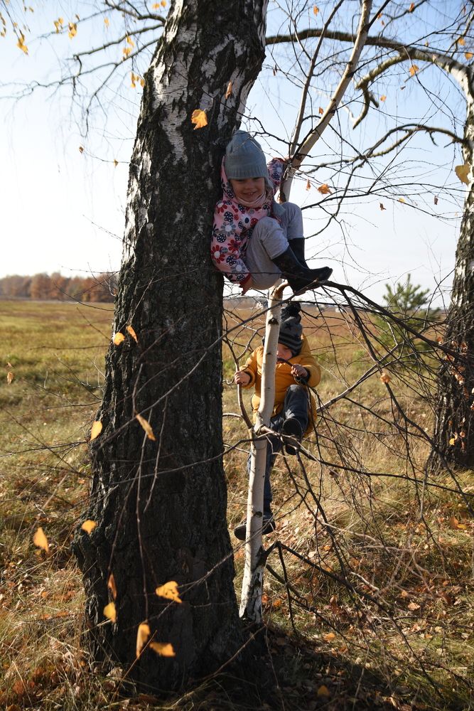 Photograph by наталья залогина