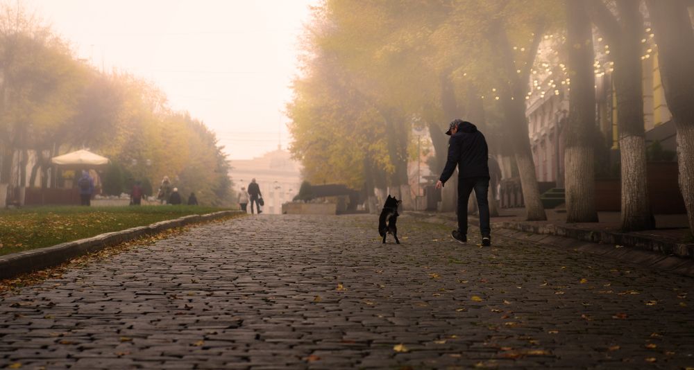 Photograph by наталья залогина