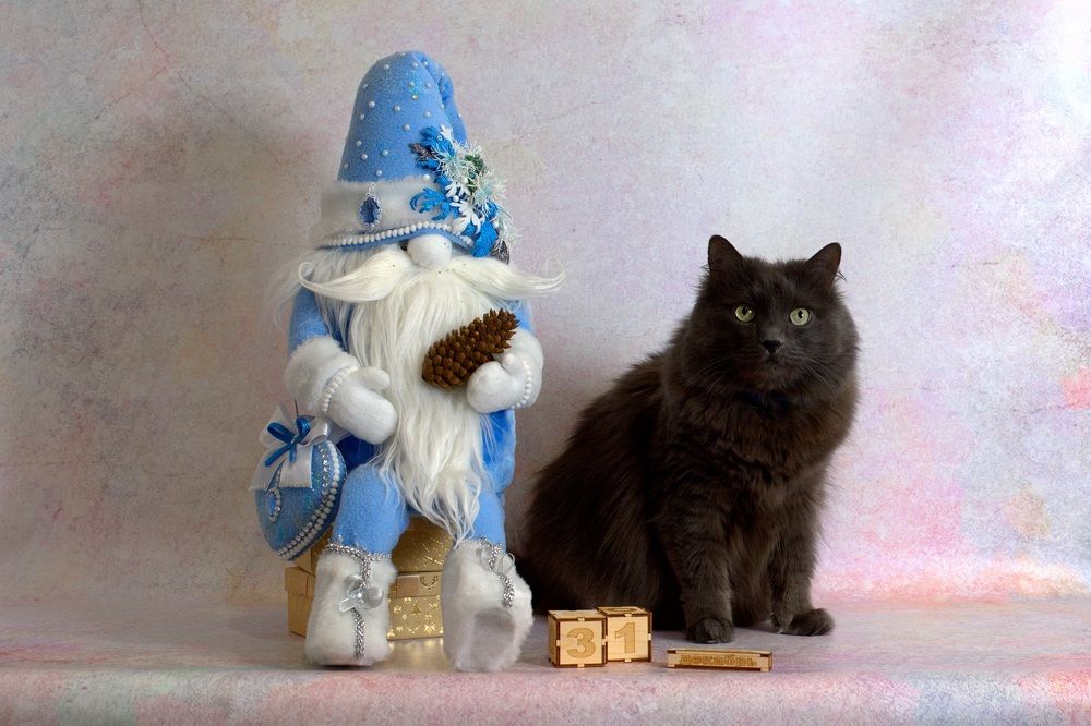 Фото на память.