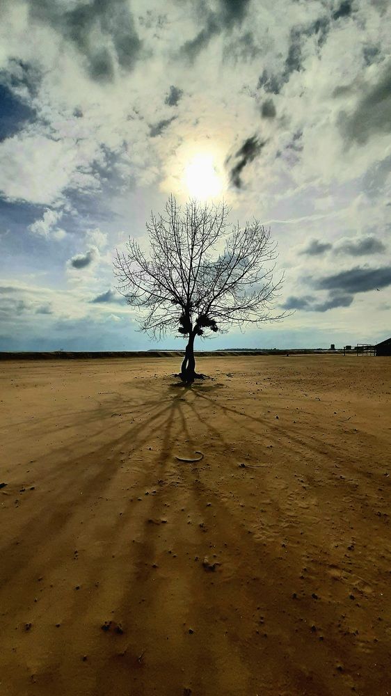 Photograph by Светлана Соколова