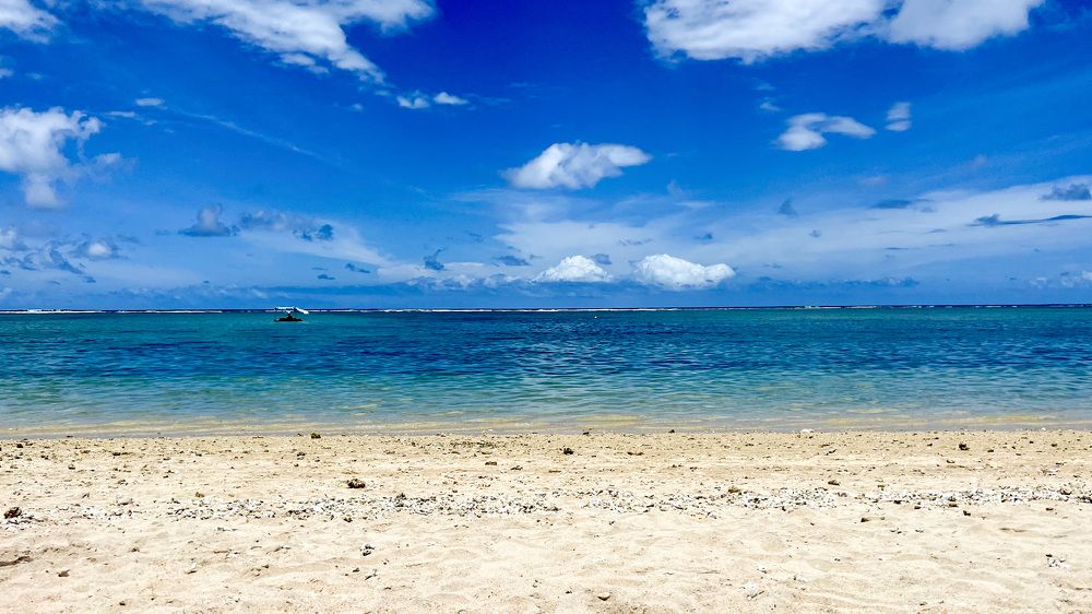 Photograph by Christine ECHEVET-ADAM de VILLIERS