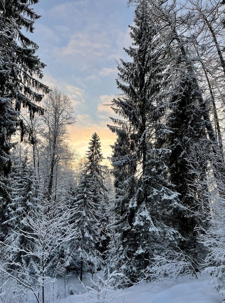 Серебро зимы