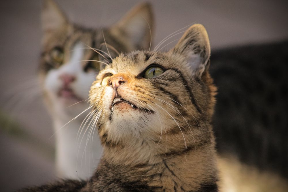 Photograph by Елизавета