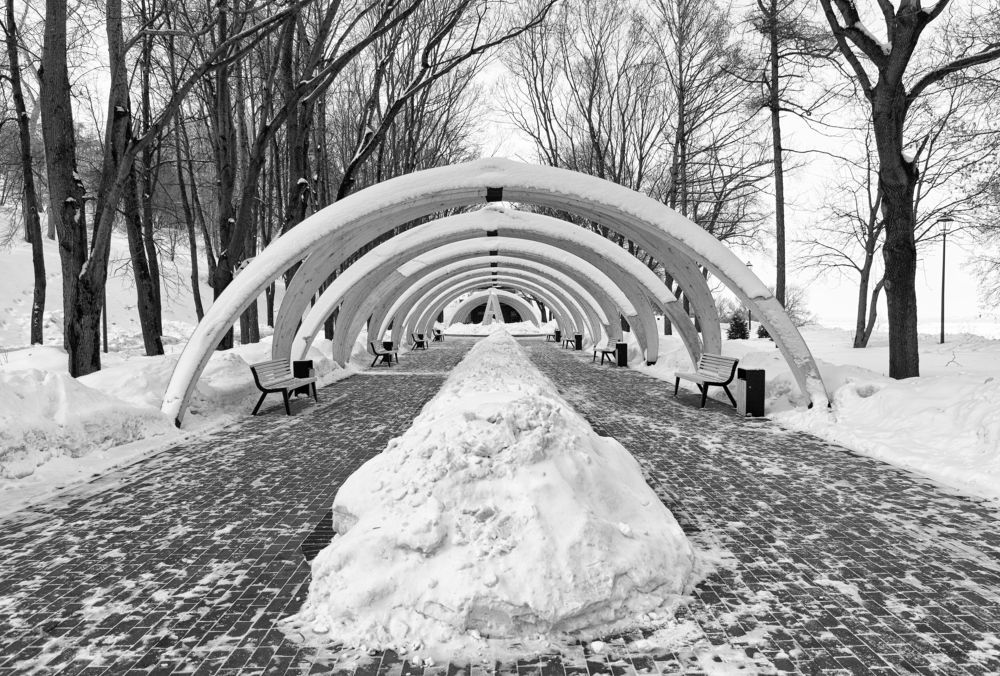 Photograph by Kuzmichev Alexey