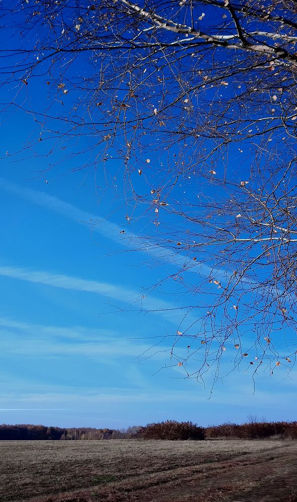 Photograph by Виктория Лаврова