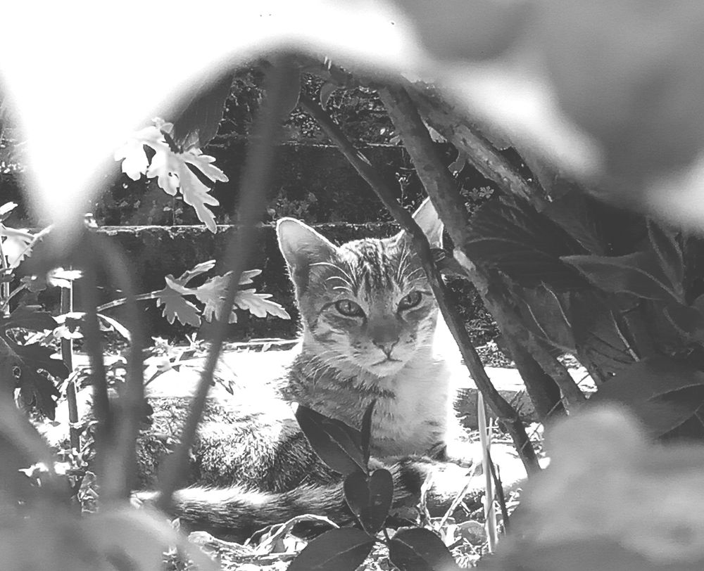 Photograph by Kapil Singh