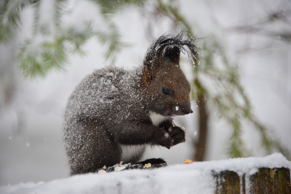 Photograph by Дмитрий Юдин