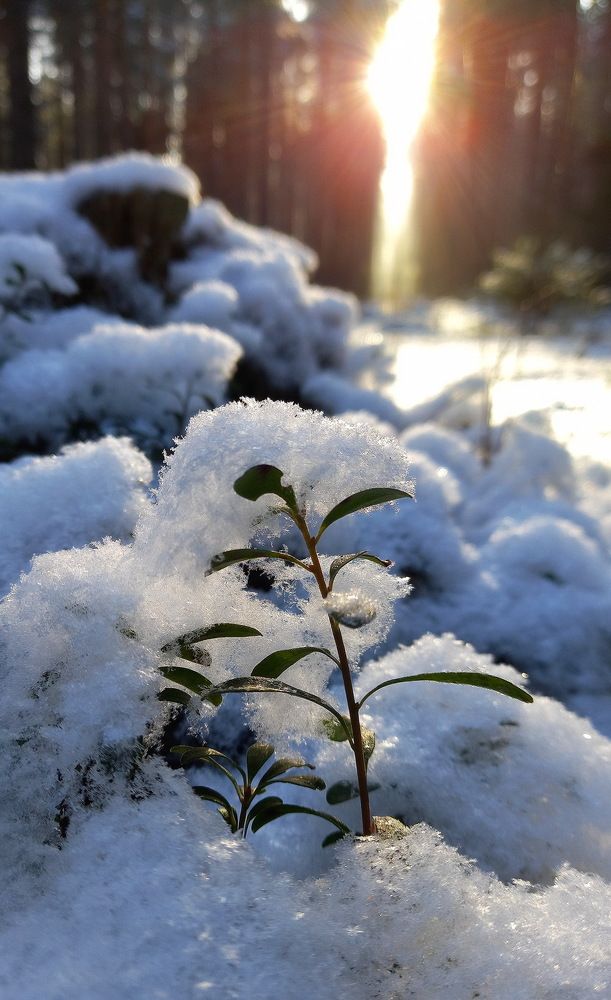 Photograph by Олег Фокин