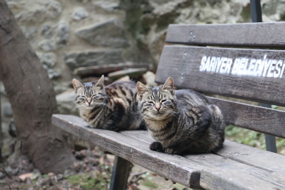 Photograph by Dmitriy Gurkin