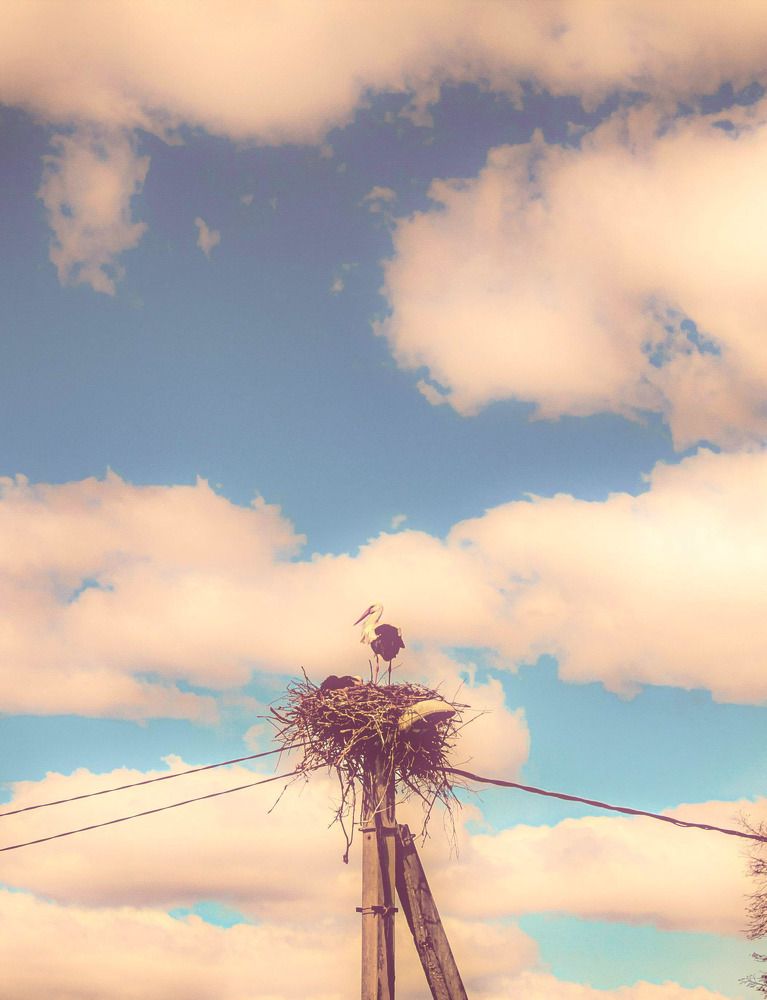 Photograph by Николай Яковлев