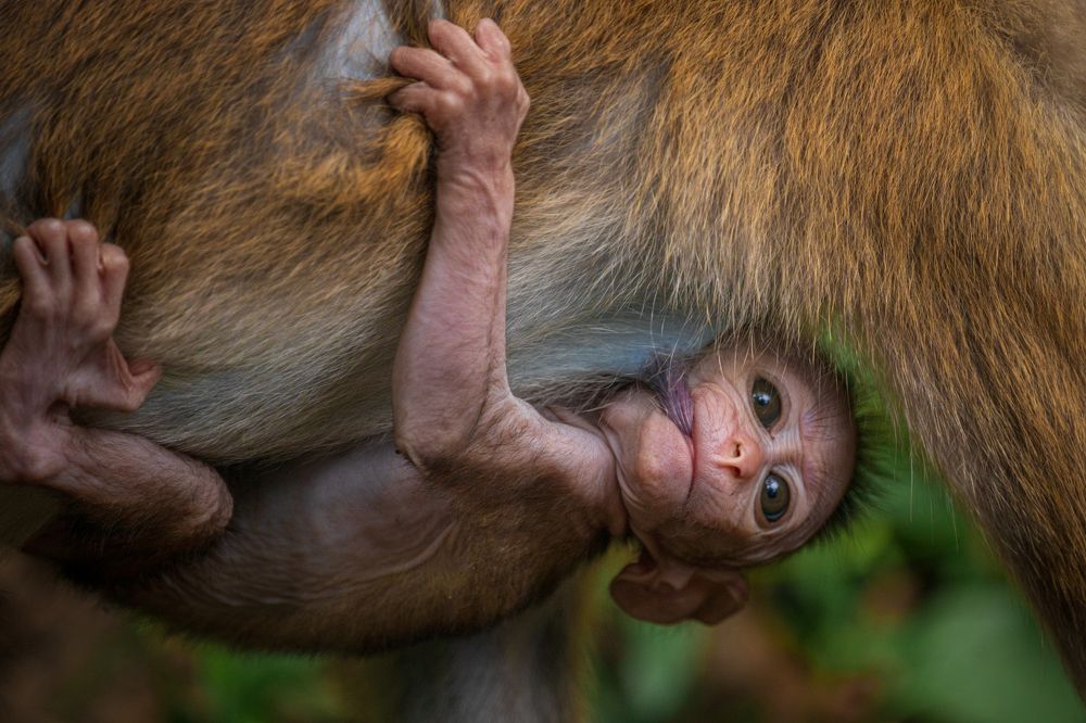 Photograph by Mineth Vismitha